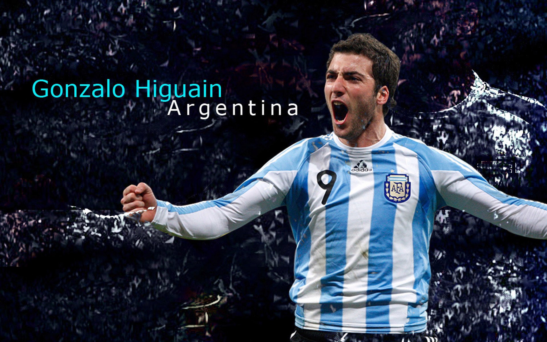 东京奥运会：中国队夺得多项金牌，体育强国再创辉煌，东京奥运会中国队金牌一览